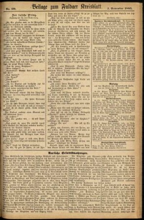 Zweite Ausgabe vom Samstag, den 03. November 1883.