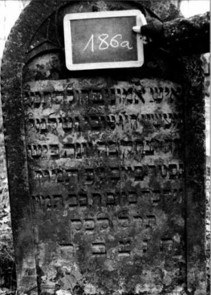 Grabstein 186 [Nir S. 134 Nr. 13.23]: Grabstein 186 (Detailaufnahme) [Nir S. 134 Nr. 13.23]