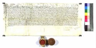 Hans Wilhelm von Stotzingen zu Dischingen und Heudorf stellt Graf Frobenius zu Helfenstein einen Revers über die Belehnung mit einer Anzahl Güter zu Dischingen aus.