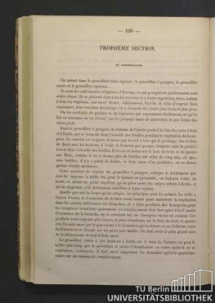 Troisième Section. Du groseillier.