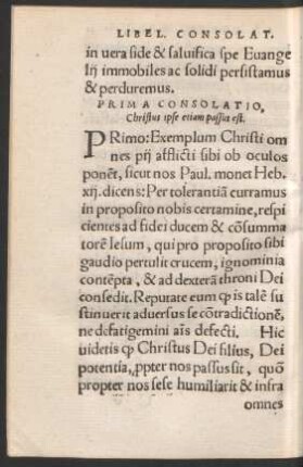 Prima Consolatio, Christus ipse etiam passus est.