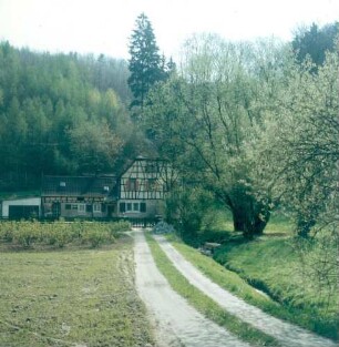 Weinheim. Mühle