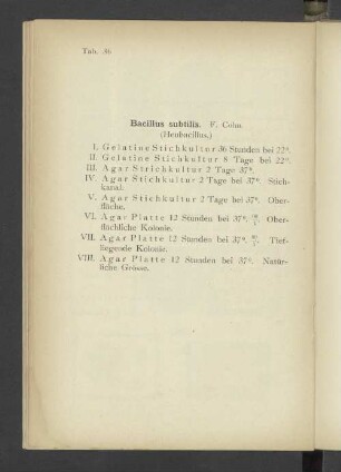 Tab. 36 Bacillus subtilis