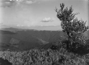 Landschaft : Blick von einer Bergwiese auf die bergige Landschaft.