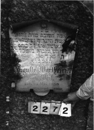 Grabstein 2272 (Index: 100097380) Maße HxBxT: 138x80x42 cm Symbolik: Schriftrolle, Glocke: Grabstein 2272 (Detailaufnahme)
