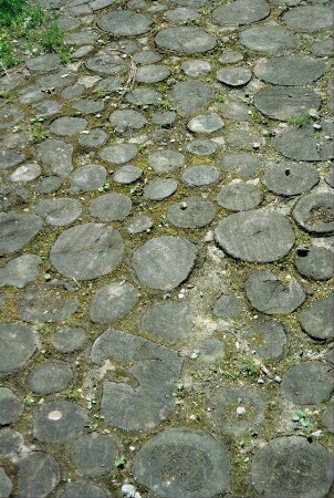 Pflasterung im Schlosshof: Baumscheiben