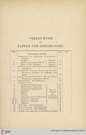 Verzeichniss der Tafeln und Abbildungen