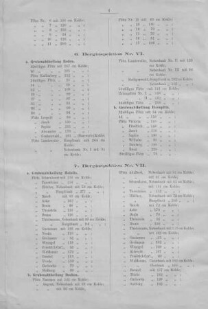 7. Berginspektion Nr. VII.