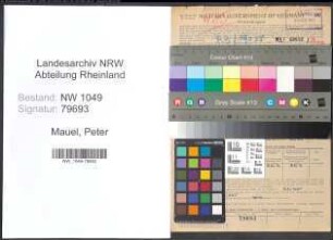 Entnazifizierung Peter Mauel , geb. 30.09.1890 (Regierungsinspektor)