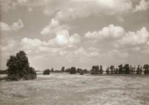 Nordsächsisches Tiefland (Leipziger Tieflandsbucht). Auenlandschaft der Weißen Elster bei Döhlen, nordöstlich von Pegau