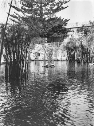 Teich : Blick über einen Teich