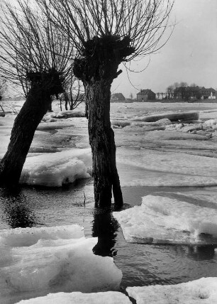 Oberelbe im Winter : Hamburg. Eisgang auf der zugefrorenen Oberelbe bei Zollenspieker