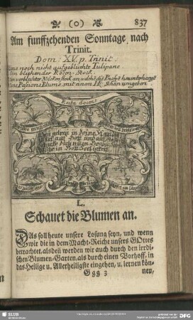 L. Schauet die Blumen an