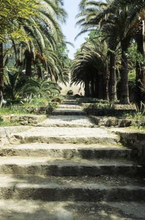 Jardins d'Alfàbia