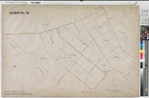 Neuenkirchen (Neuenkirchen), Rheine l.d.Ems (Rheine), Zusammenlegung Catenhorn, Urkarte II Rheine l.d.Ems Flur 24