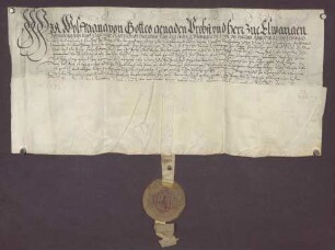 Der Propst zu Ellwangen belehnt den Kurfürsten von der Pfalz bzw. dessen Lehnsträger mit der Burg Strahlenberg, der Stadt Schriesheim sowie zugehörigen Gütern und Gerechtsamen.