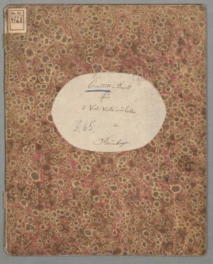Quartett in g-Moll JWV 65 - BSB Mus.ms. 4728