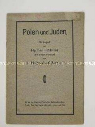 Historische Abhandlung über das Verhältnis von Polen und Juden vor dem 1. Weltkrieg