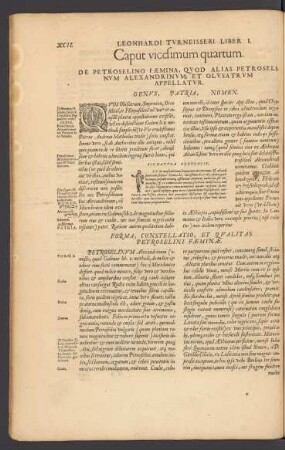 Caput vigesimum quartum. De Petroselino Faemina, Quod Alias Petroselinum Alexandrinum, Et Olusatrum Appellatur.