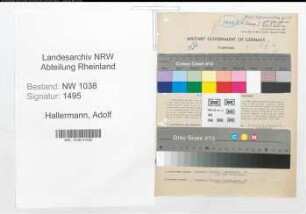 Entnazifizierung Adolf Hallermann , geb. 09.02.1885 (Brauereidirektor)