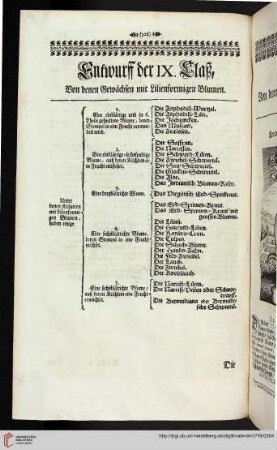 Entwurff der IX. Claß