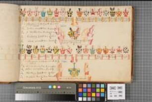 Proband: Wendt, Heinrich Wilhelm von; Vater: Wendt, [Matthias] von; Mutter: Leerodt, [Mathilde] von: [Hildesheim, Domkapitel]