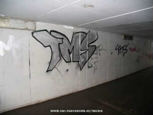 TMS