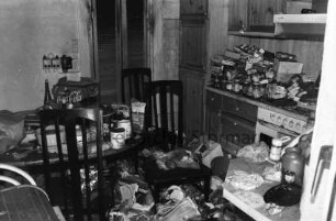 Brand: Einfamilienhaus: Küche: angefüllt mit Müll: 2. Juni 1999