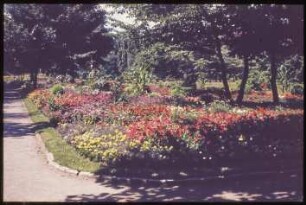 Blumenbeete im Volkspark Wilmersdorf
