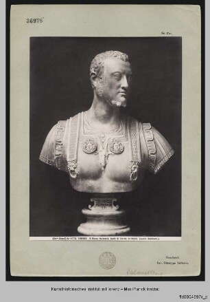 Büste Cosimos I. de' Medici