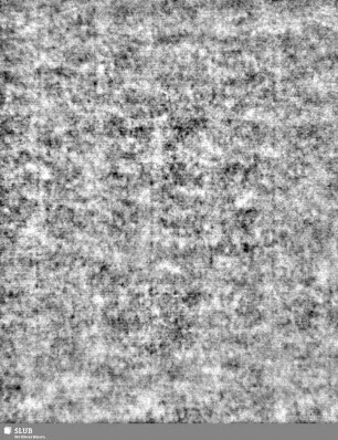 Lilienschild + IESV / LW = S.5/6