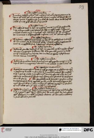 David de Augusta, Formula novitiorum