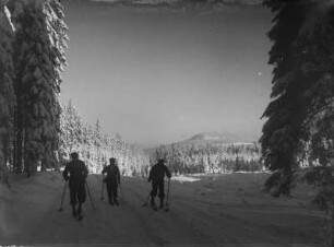 Thüringen, Rennsteig : Thüringen. Rennsteig. Winteraufnahme mit Ski-Langläufern