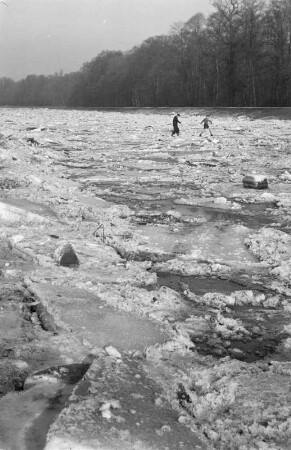 Eisschollen auf der Weißen Elster : Zwei Personen laufen über die Eisschollen der Weißen Elster