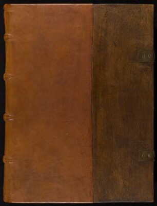 Psalterium feriatum - Antiphonarium : Ms. theol. lat. fol. 318