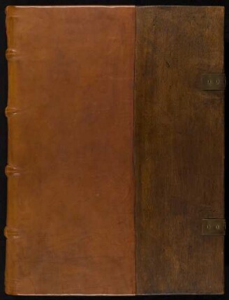 Psalterium feriatum - Antiphonarium : Ms. theol. lat. fol. 318