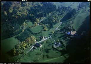 Waldkirch: Höfe im Suggental, Herbstfärbung