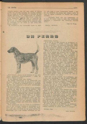 Un perro