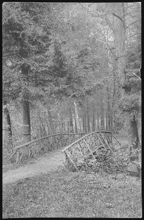 Großschweidnitz. Park