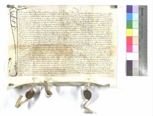 Verkauf der anderen Hälfte der Mähder zu Unterkirchberg durch Jos Michel an Kloster Wiblingen