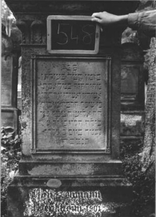 Grabstein 548 (Index: 99895439) Material: Sandstein Zustand: leicht verwittert Maße HxBxT: 160x49x20 cm Beschreibung: Stele mit Aufsatz; profilierter Sockel Symbolik: florale Ornamente: Grabstein 548 (2)