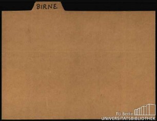 BIRNE: Allgemein