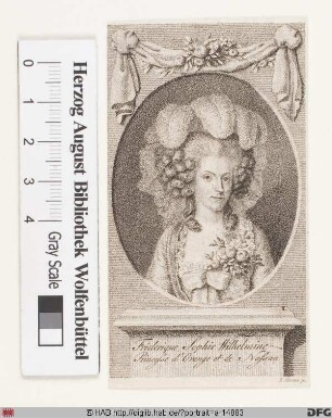 Bildnis (Friederike Sophie) Wilhelmine, Prinzessin von Oranien, geb. Prinzessin von Preußen