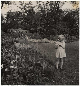 Haus und Garten Mattern, Potsdam-Bornim: Merete vor Pflanzung