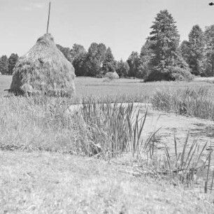 Trotzkefließ in Leipe. Heuschober auf den Trotzkewiesen in Leipe. : Groble w Lipjem. Kopjenja ,,Stogi" na łuce při groblach.