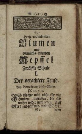 I. Der verachtete Feind.