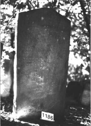 Grabstein 1186 (Index: 99899931) Material: Sandstein Zustand: stark verwittert Maße HxBxT: 151x77x10 cm Beschreibung: Stele mit abgeflachtem Dreiecksabschluss: Grabstein 1186