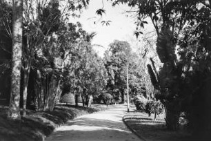 Park von Amparo : Eine Parkanlage in Amparo mit einem Weg und Bäumen.