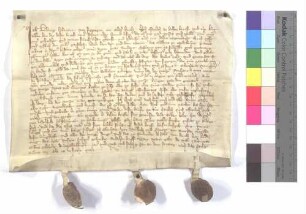 Fertigung des Ludwig Hofwart von Sickingen (Siggingen) um einen Leibeigenen zu Zaisenhausen, den er dem Kloster Maulbronn verkauft.