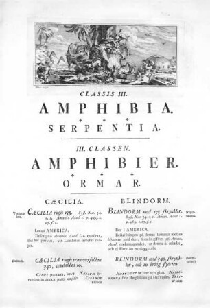 Amphibia / Amphibier